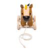 Charles the Horse