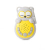 Grey Owl